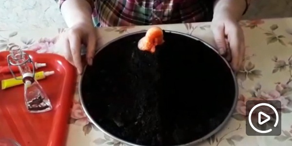 Эксперимент